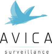 Avica Groupe